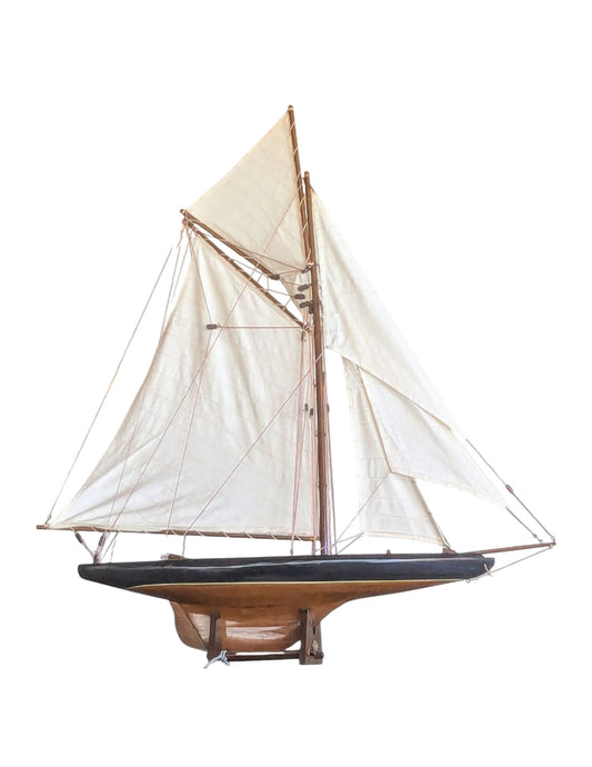 AMERICA'S CUP